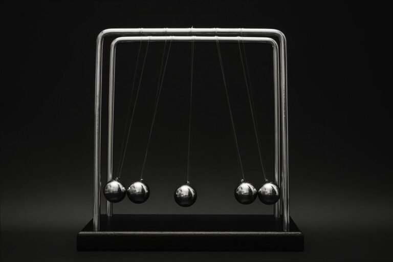 digital momentum builder program